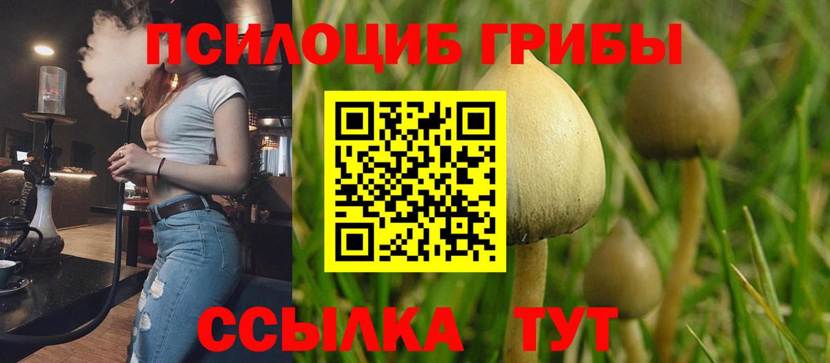 Псилоцибиновые грибы GOLDEN TEACHER Заводоуковск