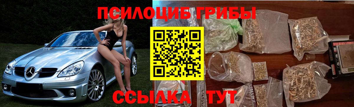 Псилоцибиновые грибы MAGIC MUSHROOMS  Вход с VPN  дарнет шоп  Заводоуковск 