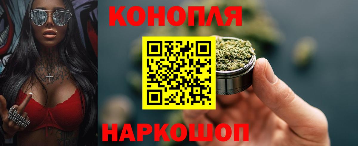 Бошки Шишки MAZAR Заводоуковск